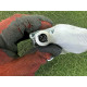 Airbag сидения (airbag / безопасность) LAND ROVER Discovery Sport L550 2016 2.0 LR026019