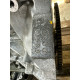 Двигун (двигун та елементи) Nissan Rogue T33 2021 2.5 PR25DD 101026RR0F