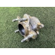 Ступиця (підвіска) Nissan Rogue T33 2021 2.5 PR25DD 432026RA0A