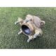 Ступиця (підвіска) Nissan Rogue T33 2021 2.5 PR25DD 432026RA0A