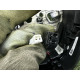 Руль (салон) FORD ESCAPE MK4 2020 1.5 LJ6Z3600UD