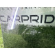 Скло (кузов і елементи) FORD ESCAPE MK4 2020 1.5 LJ6Z7825713B