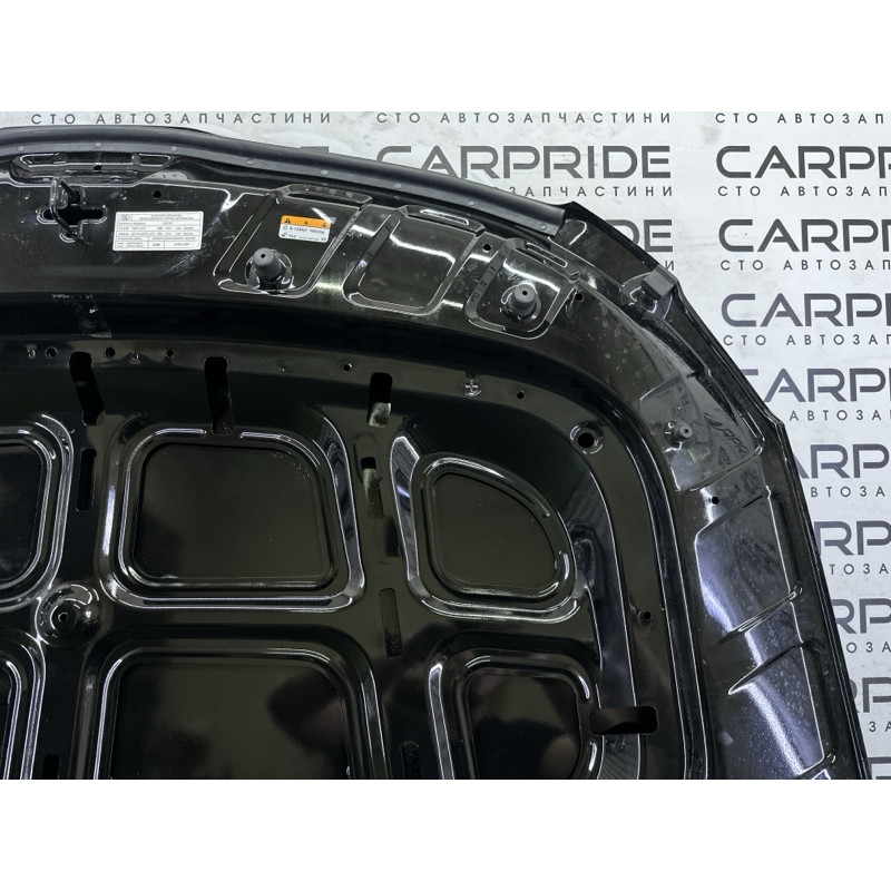 Капот (кузов и элементы) KIA Telluride Not specified 2020 3.8 66400S9000