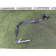 Ремінь безпеки (airbag / безпека) FORD ESCAPE MK4 2020 1.5 LJ6Z78611B08AA