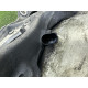 Поворотний кулак (підвіска) AUDI Q5 8R 2012 3.2 8K0407254AB