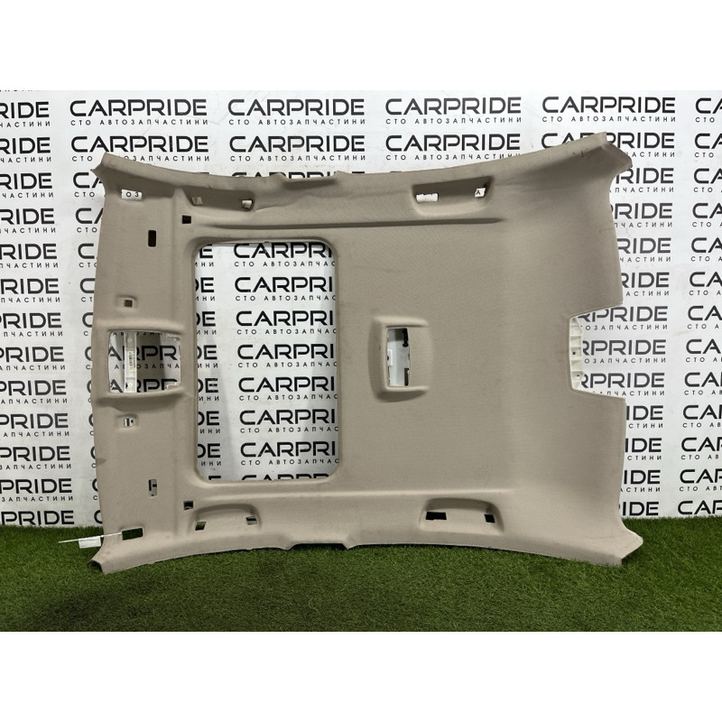 Обшивка стелі (салон) BMW 3-series F30 2013 N26B20 51447343300