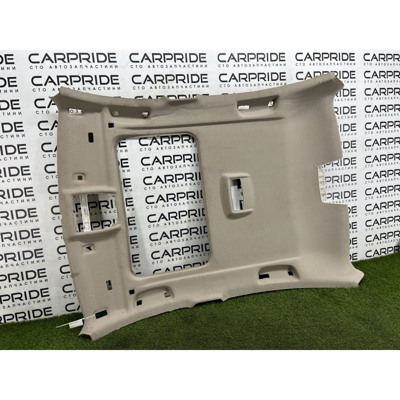 Обшивка стелі (салон) BMW 3-series F30 2013 N26B20 51447343300