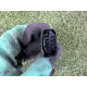 Проводка рулевой рейки (электрика) LAND ROVER RANGE ROVER Sport L494 2014 5.0 LR054126