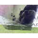 Стекло (кузов и элементы) Volvo XC90 T6 2017 2.0 32244977