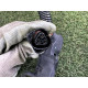 Проводка двигуна (електрика двигуна) BMW X5 E70 2012 4.4 12517608387